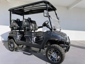 Artic Grey Evolution D5 Maverick 4 Plus Golf Cart5